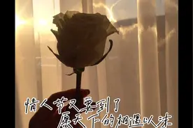 恋爱官宣的意义视频封面
