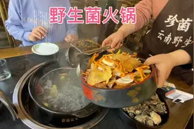 在西双版纳过年，带老妈吃云南野生菌火锅，太好吃了视频封面