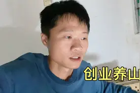 小伙回农村创业养山鸡，一次进货500只，看他能坚持多久？视频封面