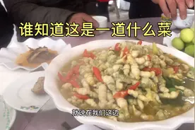 看我们江苏省连云港地区的酒席，对比你们那边怎么样？视频封面