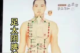一看就明了的k足太阴脾经的循行走向动态图视频封面