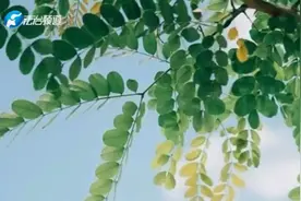 4·15特辑丨关于国家安全，你了解多少？