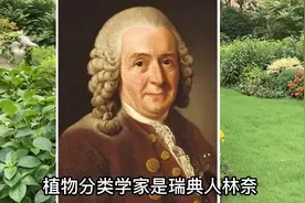 20220730 6⃣️ 简明植物分类学 界门纲目科属种植物学家瑞典人林奈
