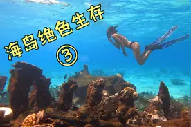 海岛生存｜第3集：你知道海里龙虾是怎么抓到的吗？海岛生存告诉视频封面