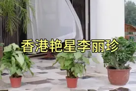 香港艳星李丽珍，风华绝代的一位美女！