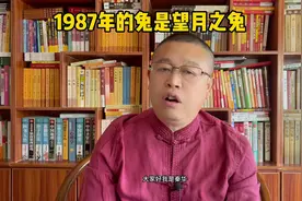 秦华讲解十二生肖：1987年的兔是什么兔？1987年的兔是望月之兔视频封面