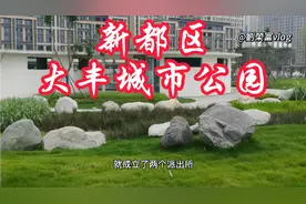天府大道北延线新都区大丰城市公园即将峻工