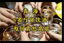 青海6名厅官饮酒，为何震怒高层视频封面