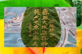 清代诗人邓拓名句。这隶书写得像靓丽的风景一样美。视频封面