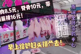 和媳妇去沈阳雨润采购中心买点排骨！猪肉8.5脊骨10带颈排骨16元视频封面