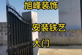 铁艺大门安装完好了，喷漆弄得像只花猫，非常的好看