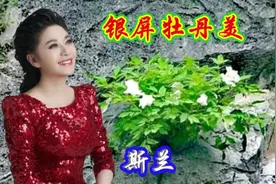 斯兰演唱《银屏牡丹美》在悬崖峭壁上生长着一簇白牡丹，非常神奇视频封面