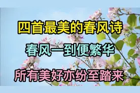 四首绝美的春风诗，让我们在诗词的春风里，来感受人间的美好吧！视频封面