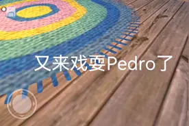 #Pedro#日常#老婆视频封面