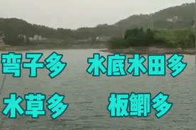 分享升钟湖容易出大板鲫的一个支流尽头，应成为你的出钓储备钓点视频封面