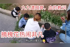 阿姨爬树摘槐花九九忙看热闹，摘花现场热闹非凡，正开心却遭暗算视频封面