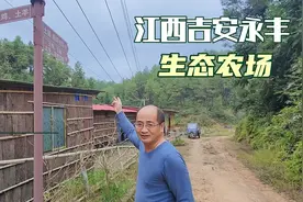 江西吉安永丰，70后大叔几年前投资办生态农场，如今年入百万视频封面