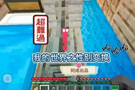 我的世界之性别转换(上)