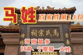 百家姓中的马姓全国排名第13位，总人口约1910多万，河南最多！视频封面