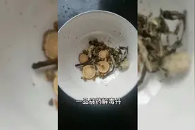 一品丹药解毒丹