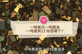 假如给你一吨美元，一吨黄金和一吨爱疯13，你会选哪个？视频封面