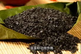 韭菜籽视频封面