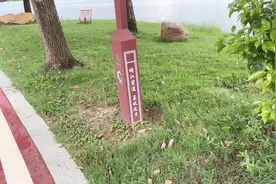 增城荔枝之乡挂绿湖。视频封面