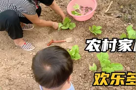 现在的蚊子好多啊，孩子看到种菜就很兴奋视频封面