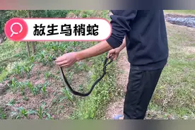 放生放生放生，说3遍视频封面