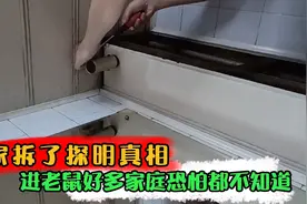 住10年的家，首次发现老鼠！它们是怎么进来的？强拆揭明真相视频封面