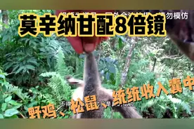 一发一只野鸡！看猎人新换装的莫辛纳甘威力如何。视频封面