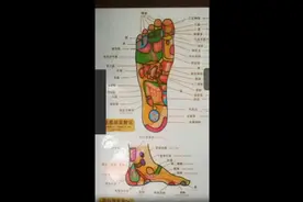 右足足底反射区详图视频封面