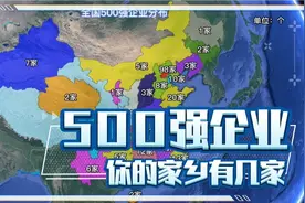 全国500强企业分布，你的家乡有几家？#500强#企业视频封面