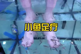 小鱼足疗，第一次体验，由痒到爽的感觉，体验完成后意犹未尽呀视频封面