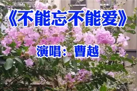 曹越演唱《不能忘不能爱》经典情歌特别好听，分享给大家！