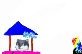 狗头卡包第四期，我竟然抽到了自己。视频封面