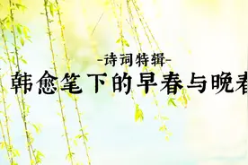 古诗词中的花木｜韩笔下的春天：“草木知春”，万物有灵视频封面