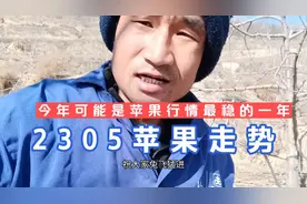 年后苹果销售行情如何？农业种植前景展望视频封面