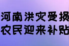河南洪灾受损，农民迎来补贴，绝收农田每亩补贴50元视频封面