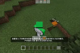 303之谜