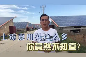 羊场必备土霉素，你知道它的用处吗？今天一块给你讲清楚视频封面