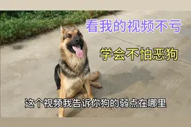 小伙讲解狗的弱点在那里 农村人都会用的招数 您遇见恶狗也能行视频封面