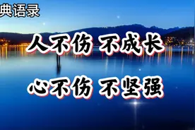 人不伤，不成长，心不伤，不坚强。生活谨言慎行，做事成熟稳重…视频封面