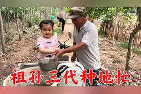 鸟爸和老妈种地忙！祖孙三代齐上阵，这朴实无华的生活令人羡慕！视频封面