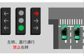 了解新交规信号灯图解