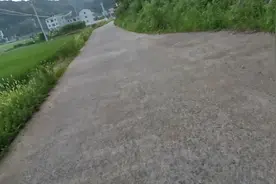 今天第一天上岗，检查，公路两边的环境卫生视频封面