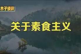 关于素食主义.视频封面