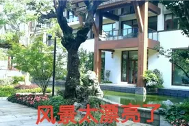 在上海一个景区里，发现很多如仙境般一样的风景，真的是太漂亮了视频封面