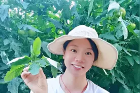 这几种蔬菜，在40度高温下越长越好，种得快，还能抢好几茬视频封面