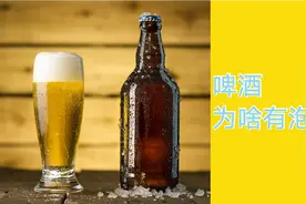 啤酒为啥有泡沫？快来看一看，让咱喝的明明白白！美食如此简单视频封面